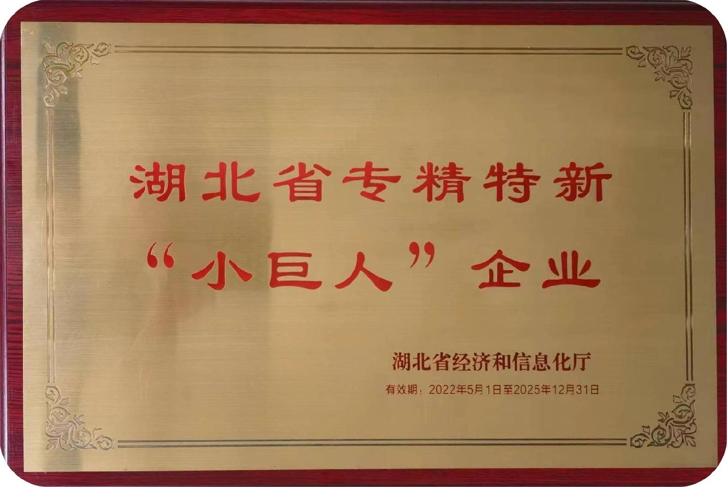 公司資質